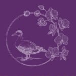 The Orchid Duck Restaurant